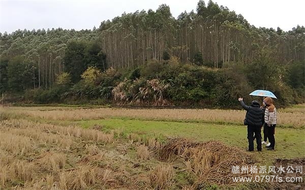 台南市陈老师带着爱徒寻龙点穴